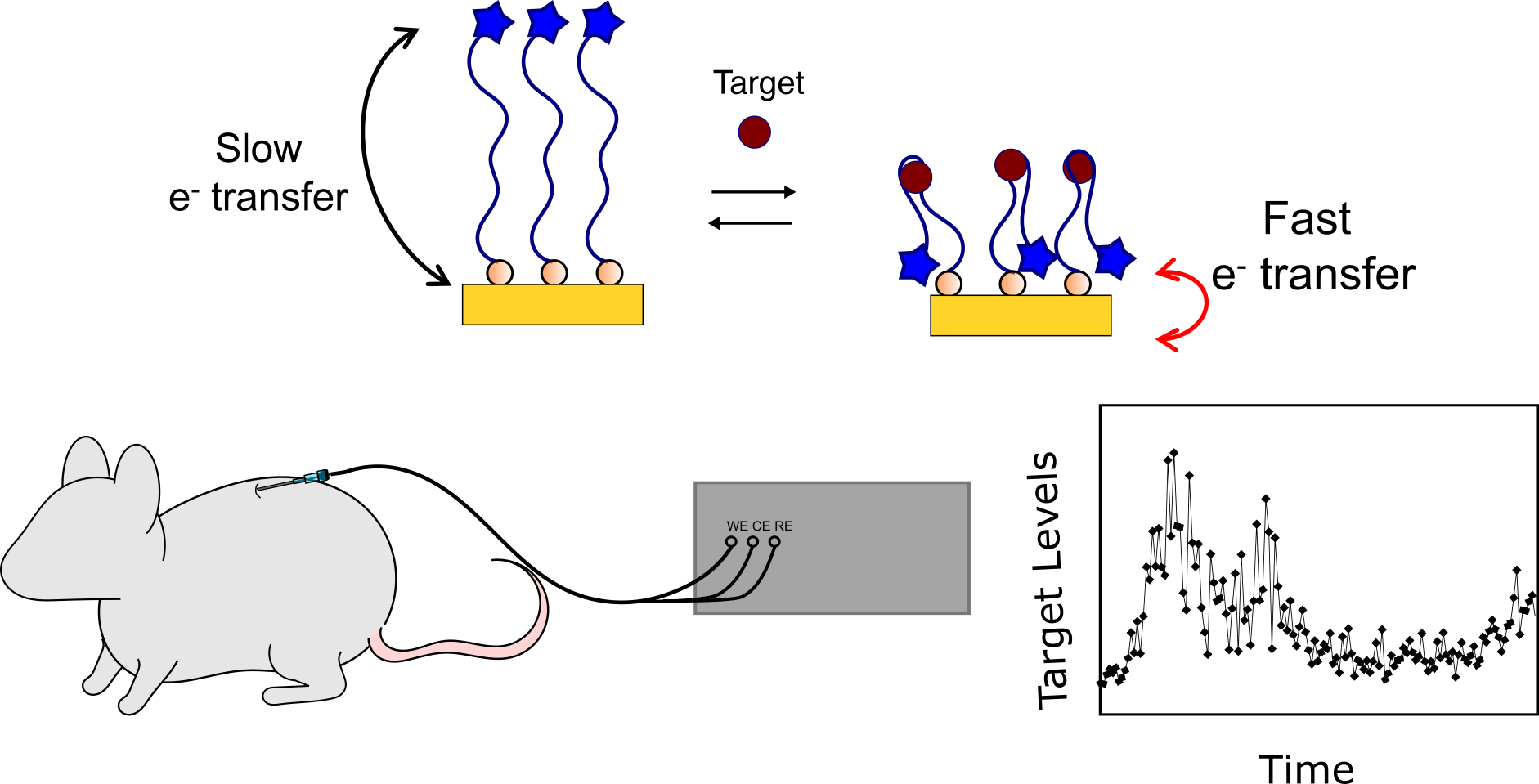 Measuring Drug Levels in-vivo