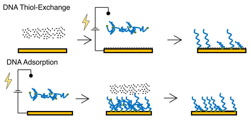 DNA Electrodeposition